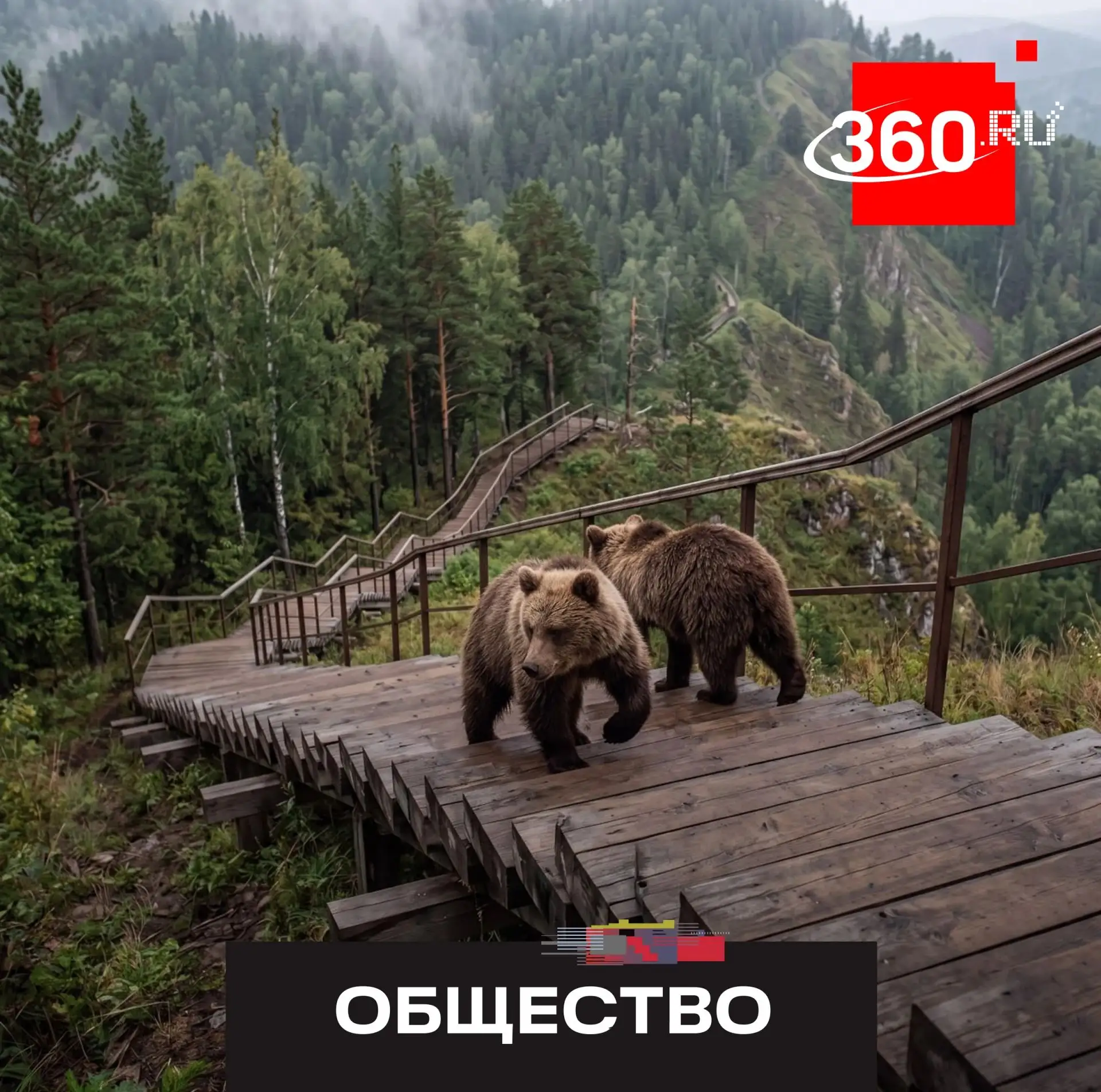 Самую длинную лестницу в России временно закрыли для туристов из-за угрозы нападения ме...