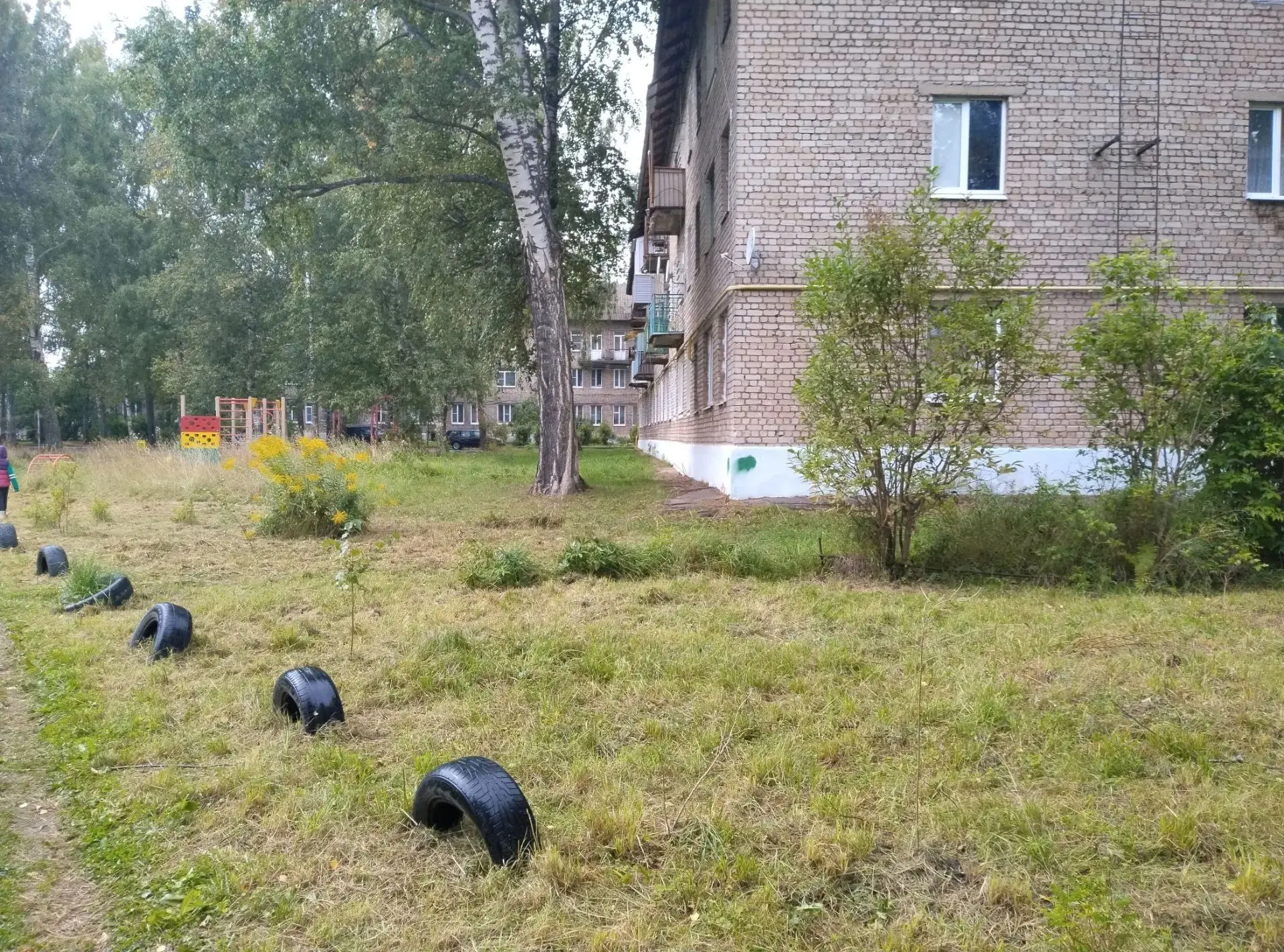 В ответ диванным критикам на "...покос травы нам только снится...".Фото сделано 24.08.2...