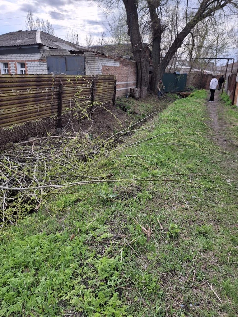 Не первый раз встречаю на улицах города актёров нашего театра, которые так же оказывают...