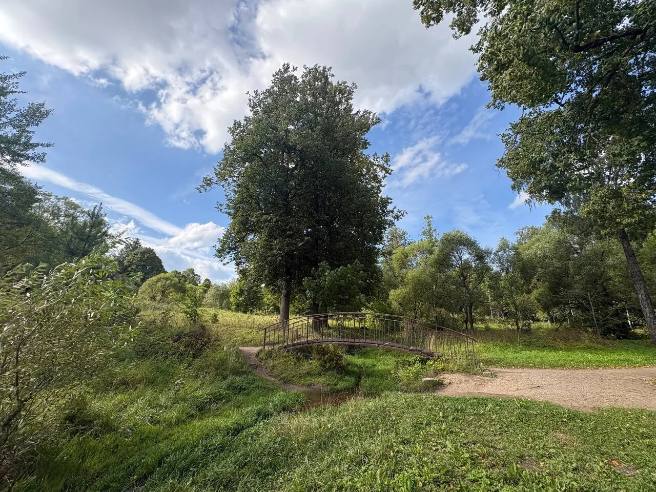 Красное Село — тихий уголок Петербурга, где особенно приятно замедлиться и просто огляд...