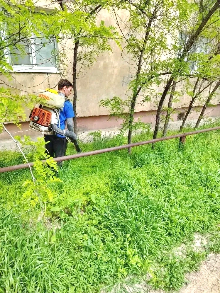 К новости «🌿 Дышим легко и гуляем с удовольствием!»