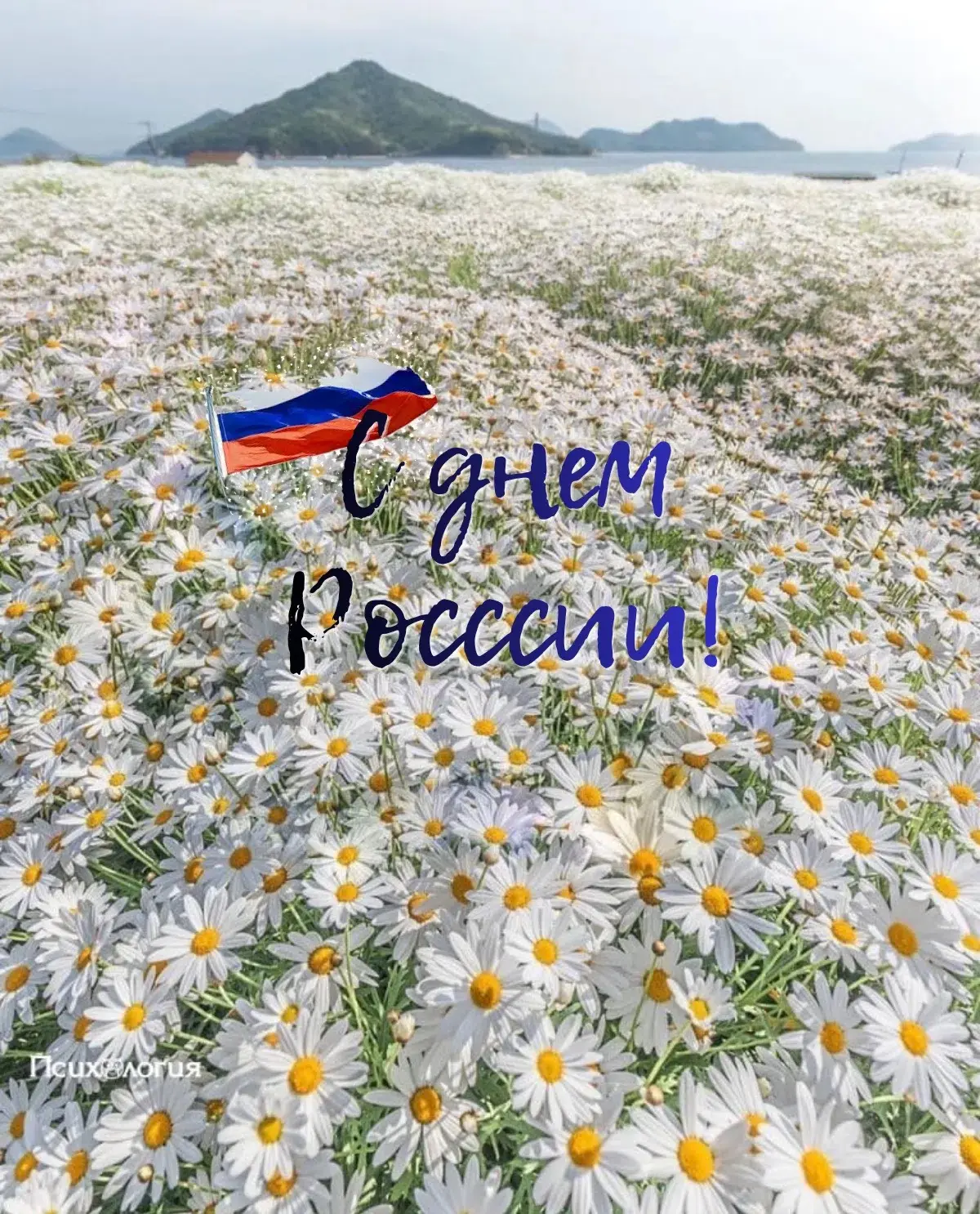 Уважаемые коллеги, дорогие ученики, уважаемые родители и все подписчики нашего канала!

Примите самы