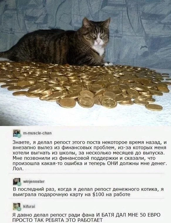 Пользуемся