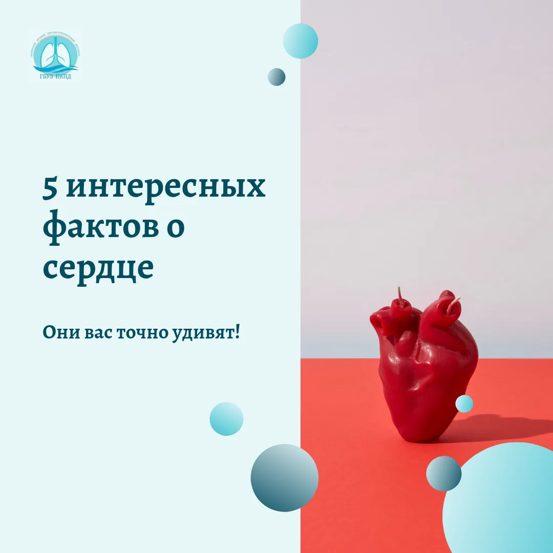 5 удивительных фактов о сердце, о которых вы могли не знать