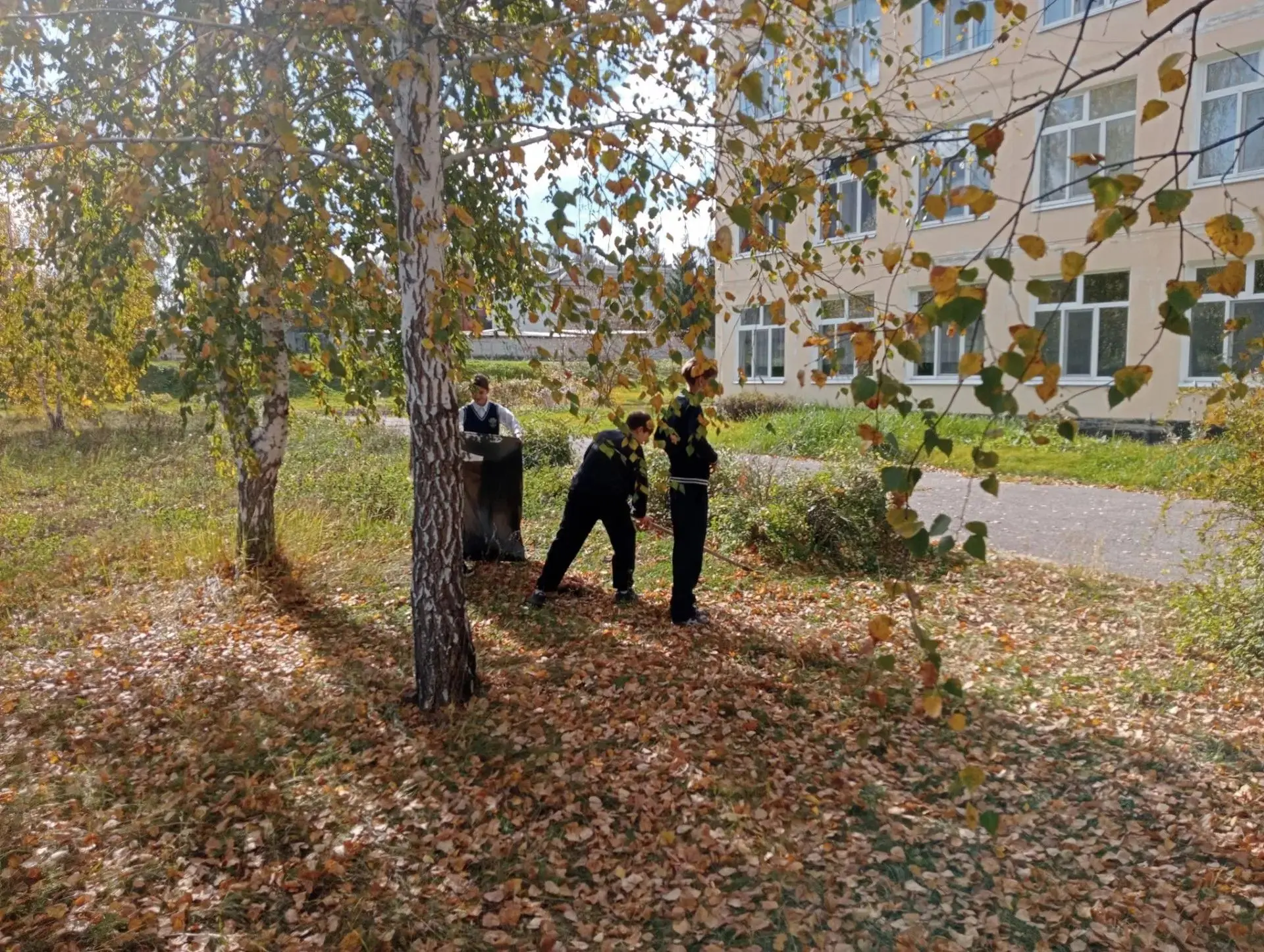 В преддверии осенних каникул в последний тёплый и сухой  день ученики 6Б класса (классн...