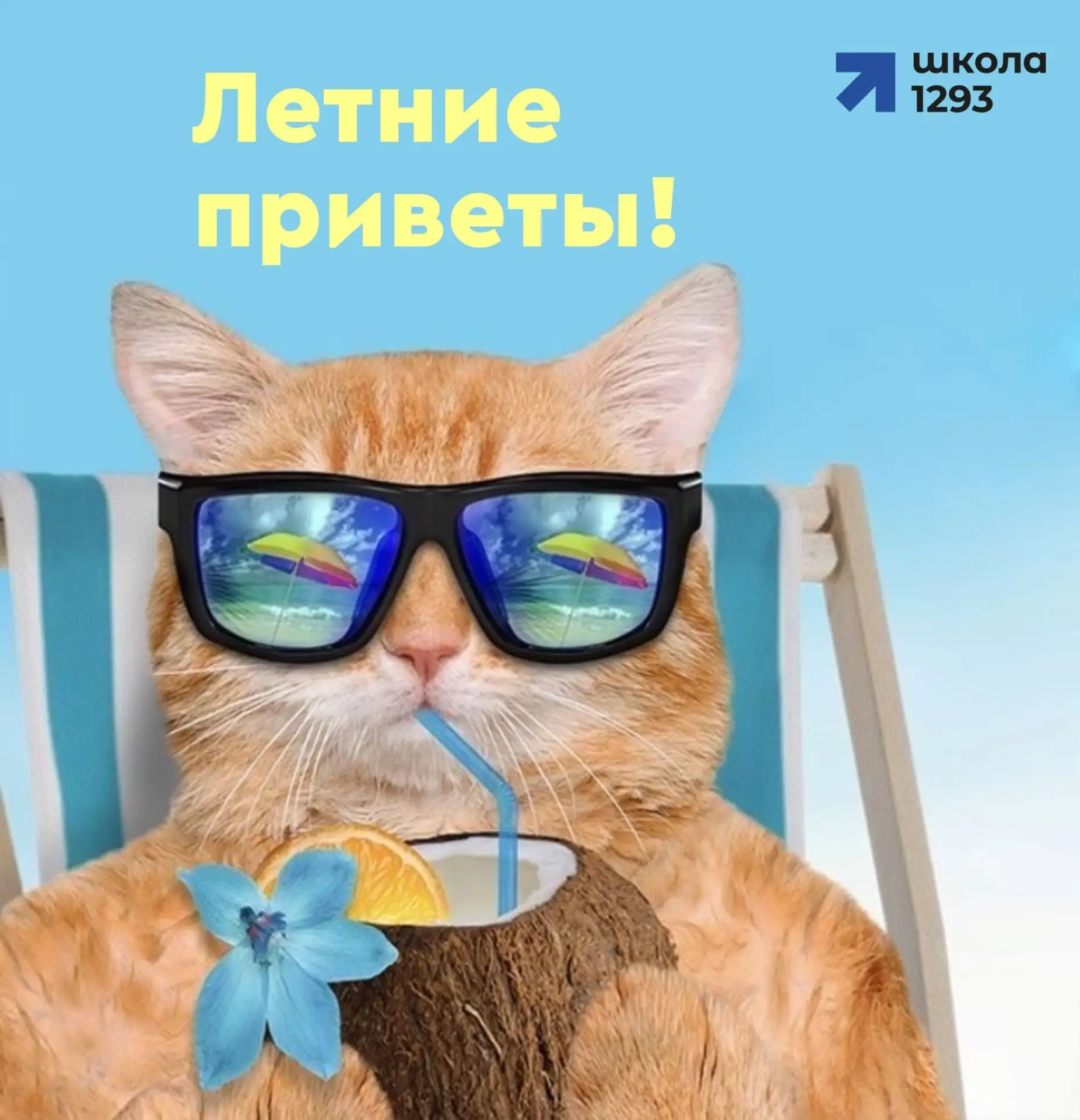 🚀Лето в разгаре — пора делиться эмоциями!