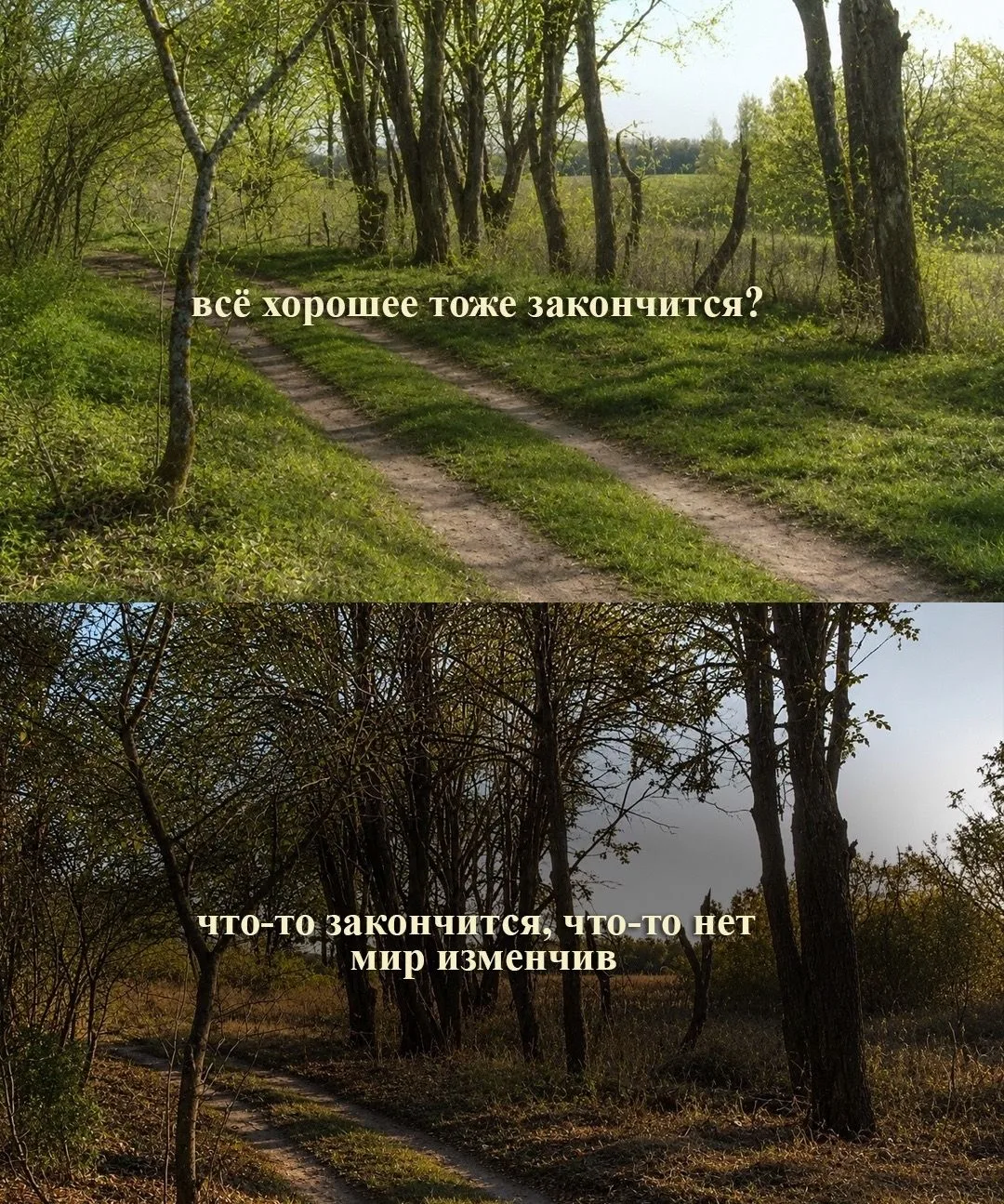 🌿 Август уже на подходе. Мы прожили больше половины лета, и оно, как всегда, пролетело быстрее, чем