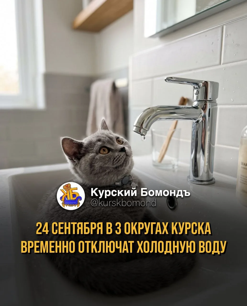 В Курске 24 сентября проведут масштабное отключение холодной воды. Подача ресурса будет...