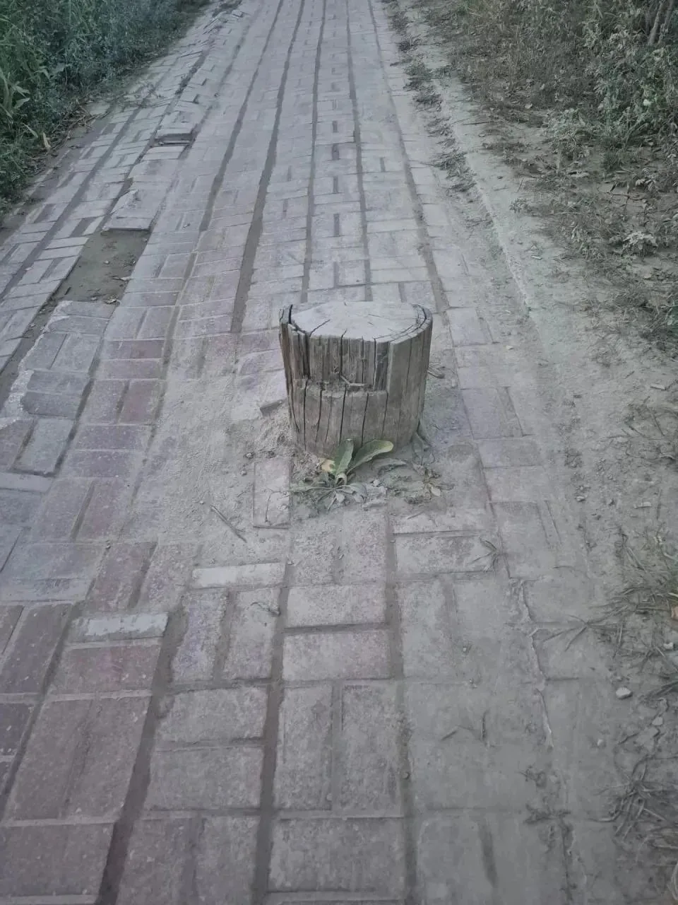 Пень у "Водоканала", о котором мы сообщали, убрали. До и После.