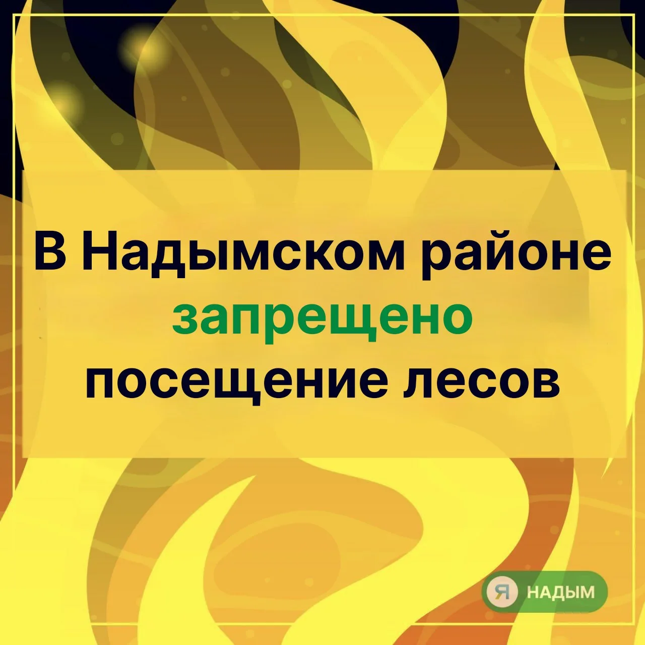❗В округе вновь введён режим ЧС регионального характера в лесах

Решение принято губернатором Ямала 