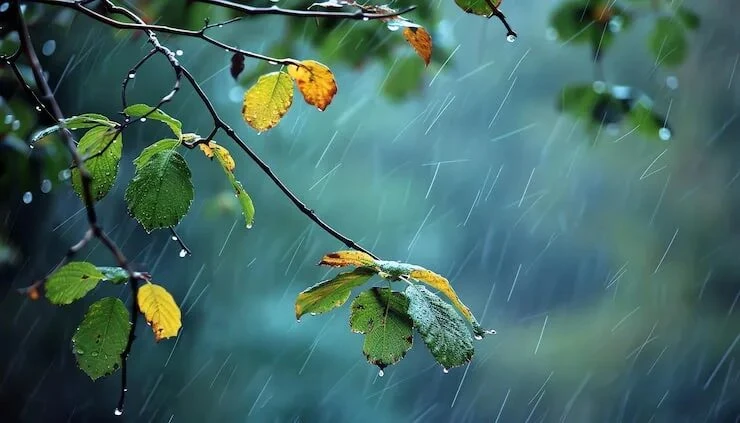 💨 Внимание! Завтра ожидаются порывы ветра до 20 м/с

🌦️ По данным синоптиков, 28 июля ожидается об