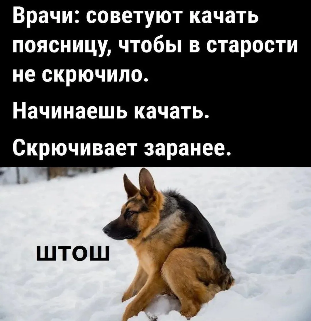 Изображение 1 к публикации «Один смех»