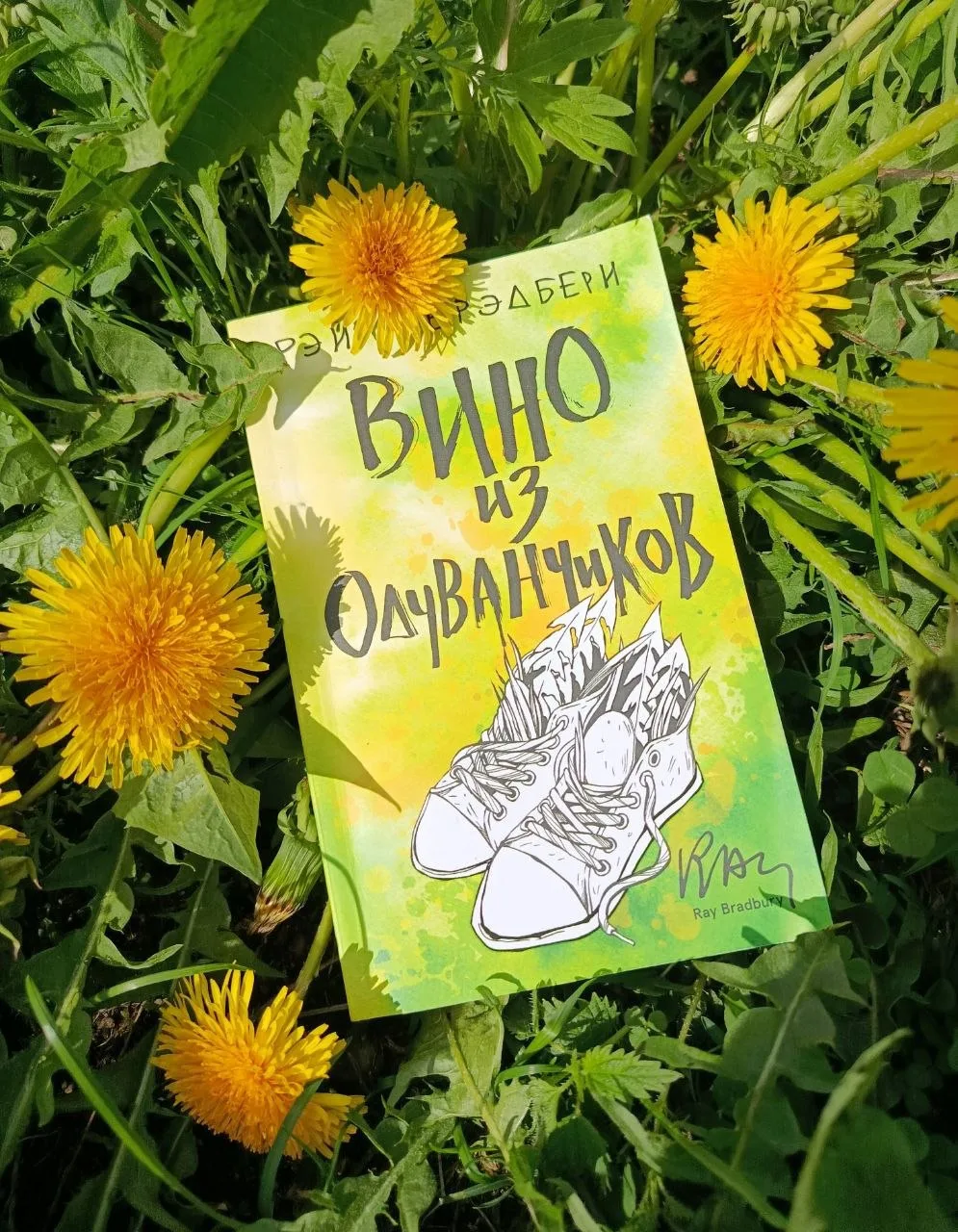 Чтобы получить удовольствие от романа Рэя Брэдбери «Вино из одуванчиков», его определенно надо прочи