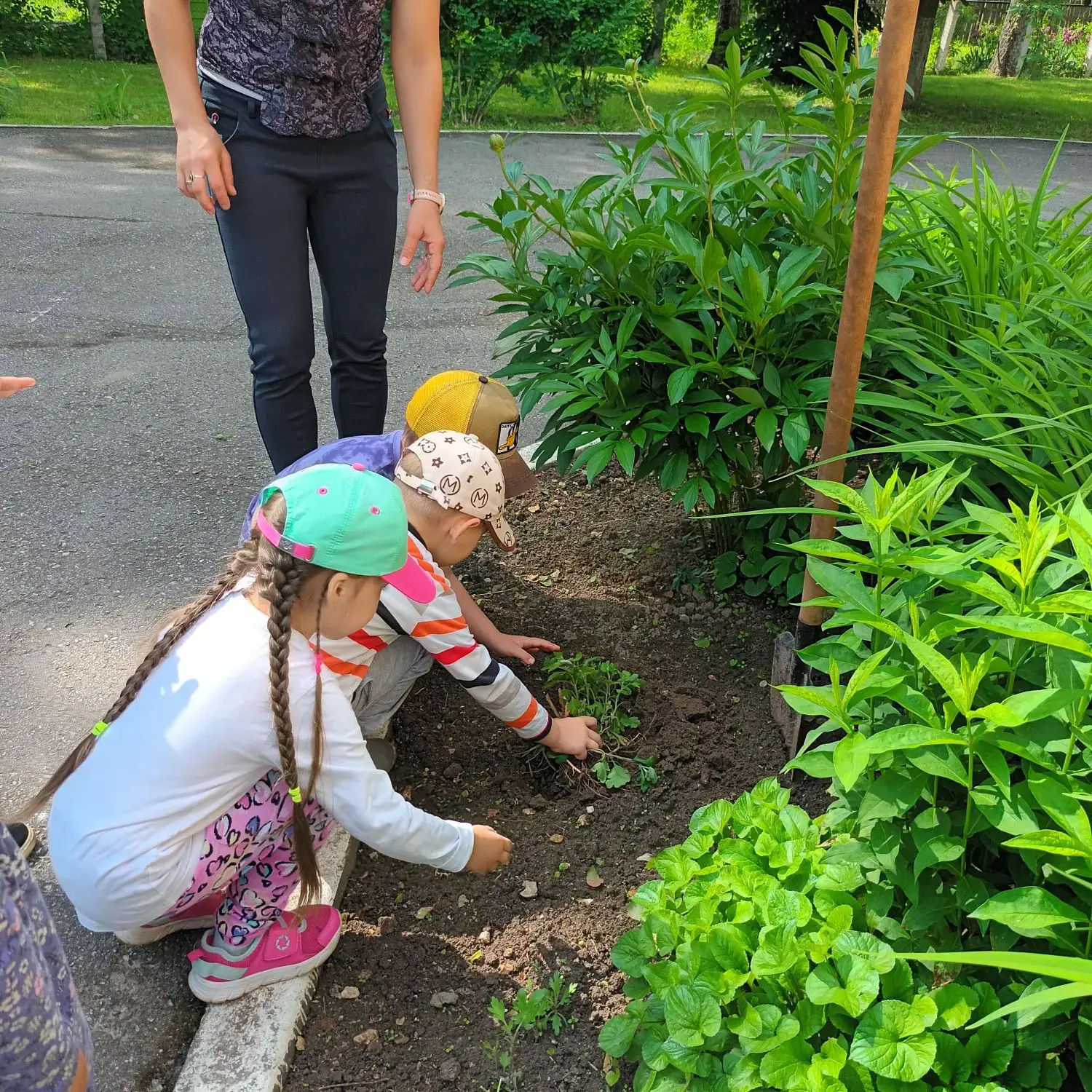 День эколога в детском саду. 🌳🐞🌲

🌻🦋🌷5 июня — праздник для всех, кого волнуют проблемы окружаю
