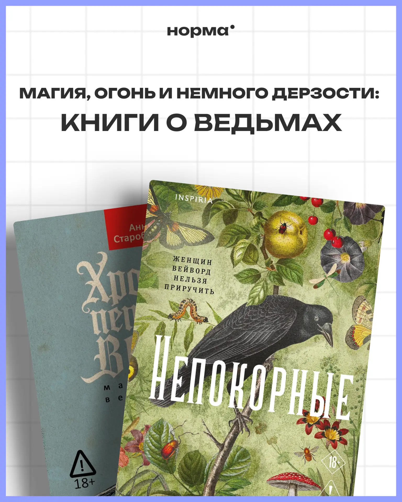 Книги о ведьмах давно перестали быть просто про магию и котлы. Чаще это истории про жен...