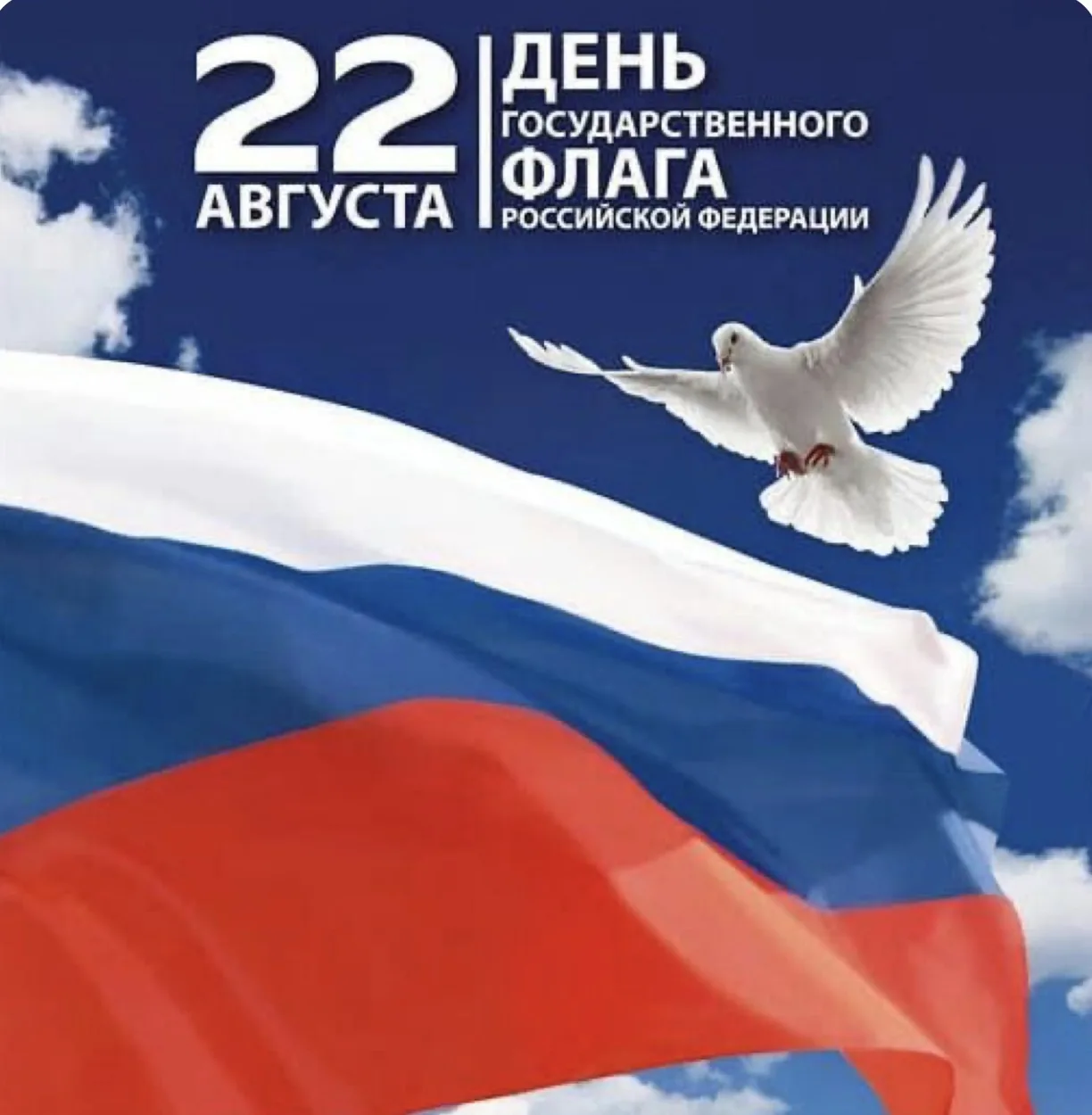 Дорогие друзья!