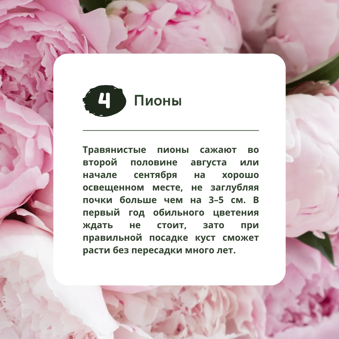 Изображение 5 к публикации «Идеи Вашего Дома»