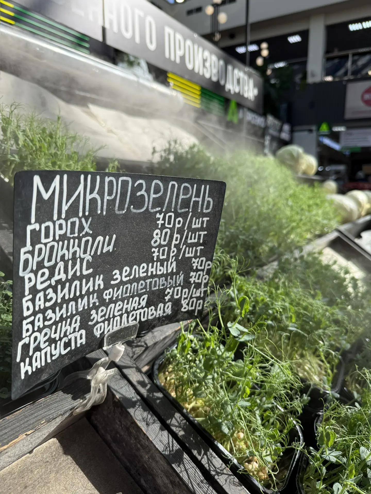 Весной всегда хочется больше зелени. Я не знаю, что со мной не так сейчас) но я выкинул...