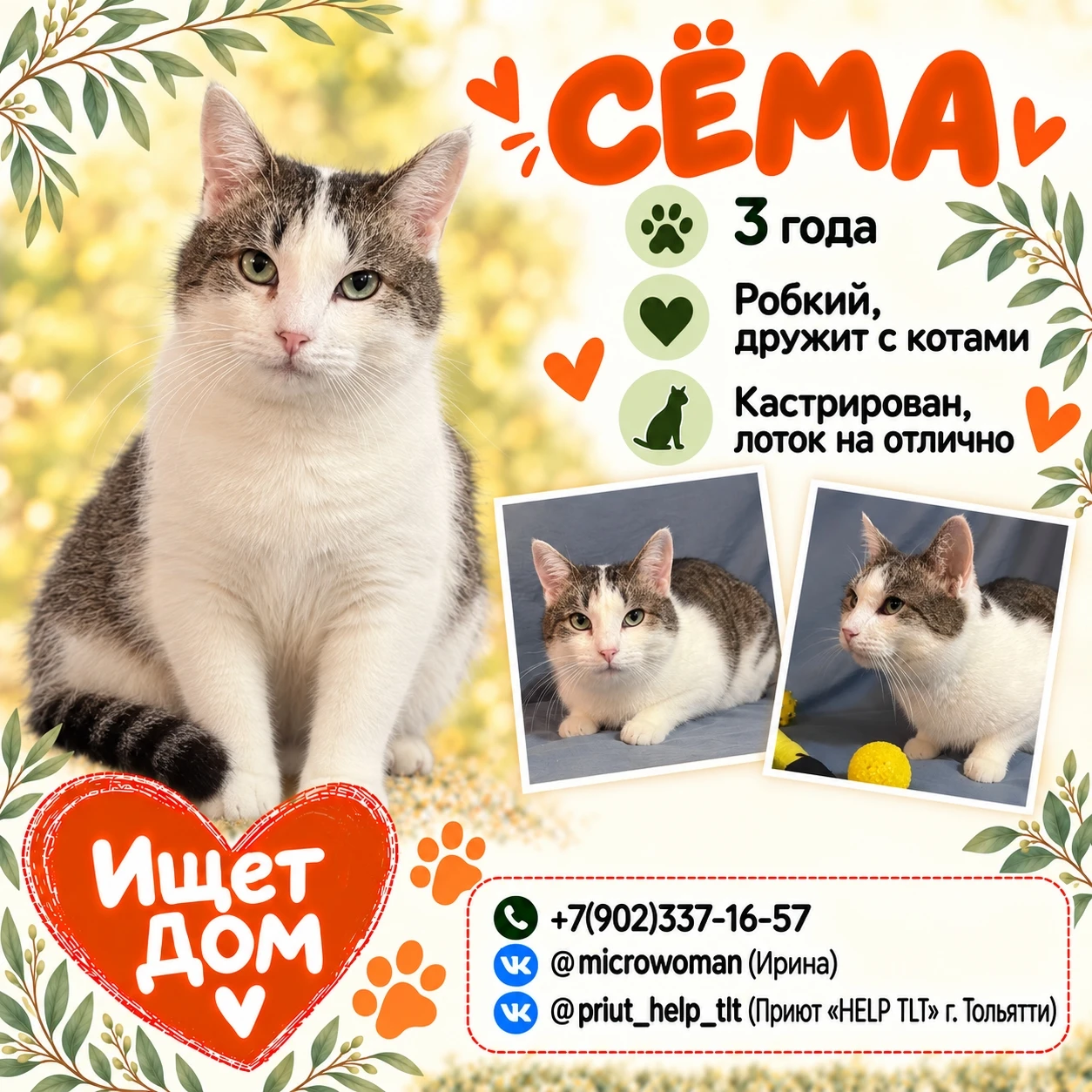 🐱 Друзья, знакомьтесь - Сёма.