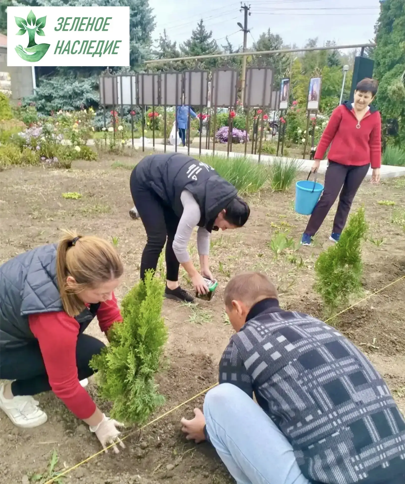 🌱🌳 В нашем районе стартовала высадка деревьев и кустарников в рамках акции по озелене...