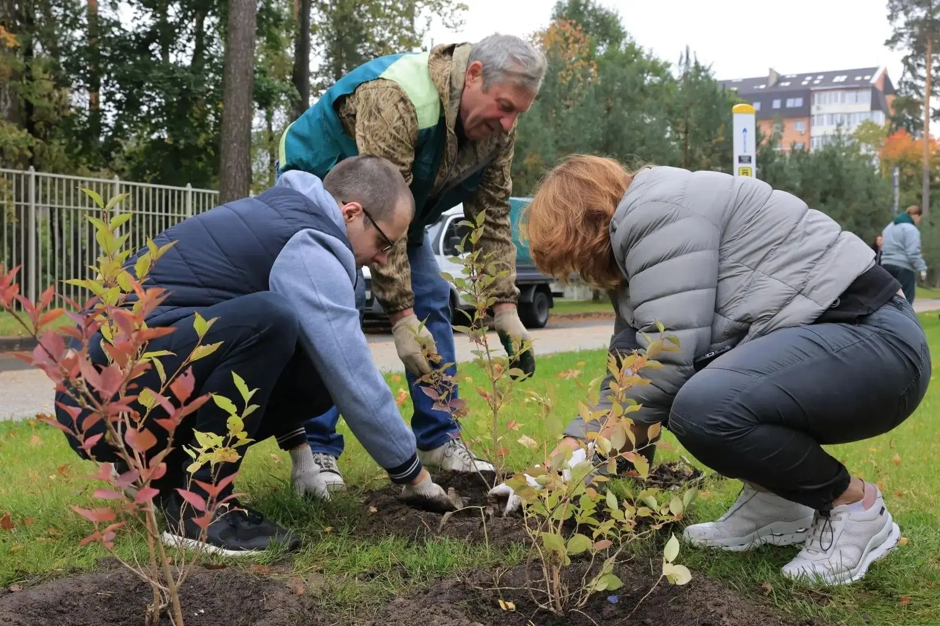 🌳 Более 650 деревьев и кустарников высадили в Королёве в рамках акции «Сохраним лес»