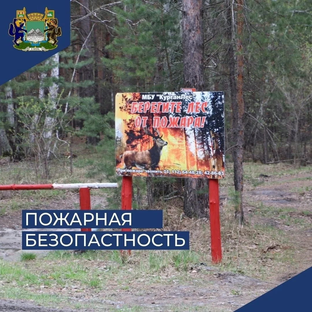 В Кургане продлен запрет на посещение лесов  Запрет на посещение лесов и въезд в них транспортных ср