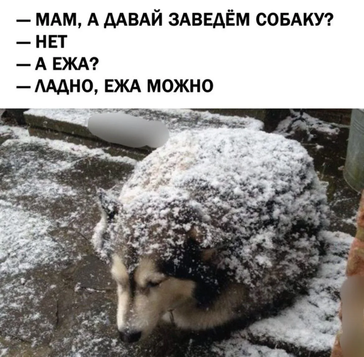 #баян