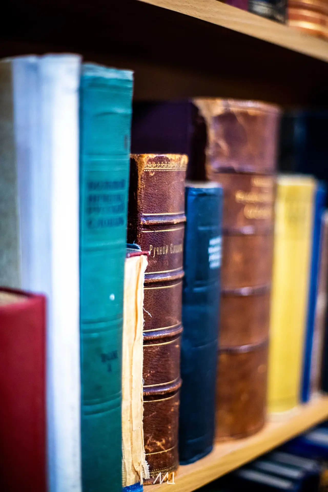 Добавим немного учебной атмосферы в эти летние деньки 📚