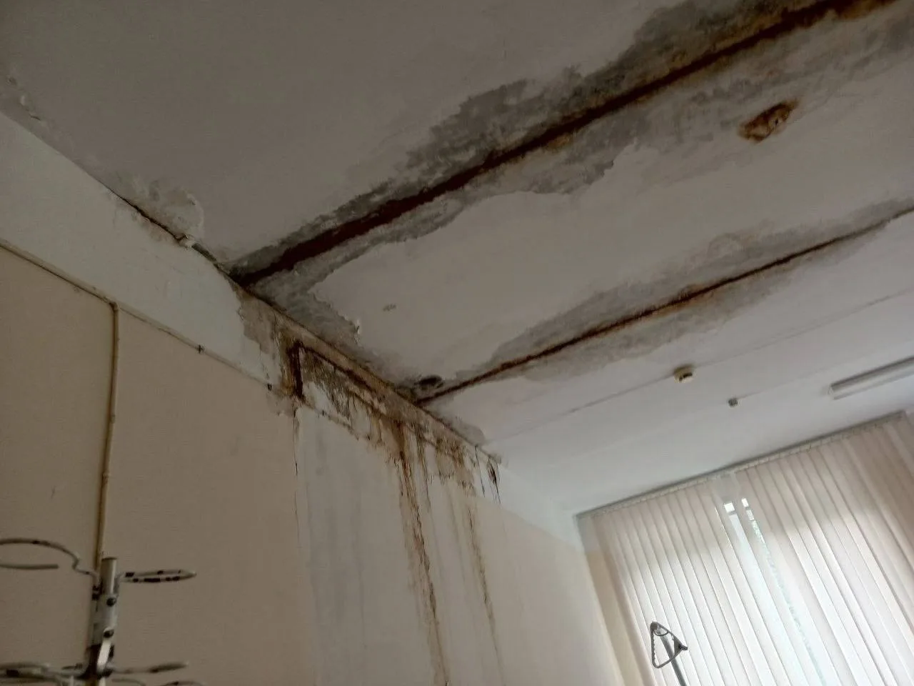 🏥 «На крыше растут берёзы»: жители Академгородка требуют проверить состояние роддома н...