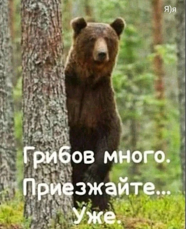 Уважаемые участники! Приглашайте друзей в чат — чем больше нас, тем быстрее узнаем, где...