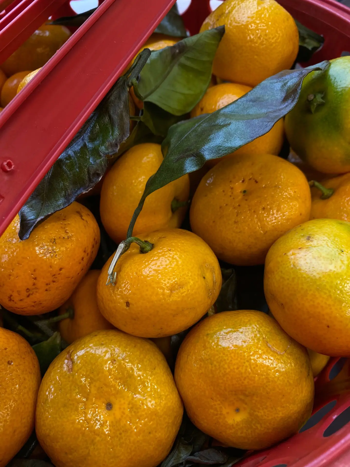 В наличии корзины мандаринов  🍊