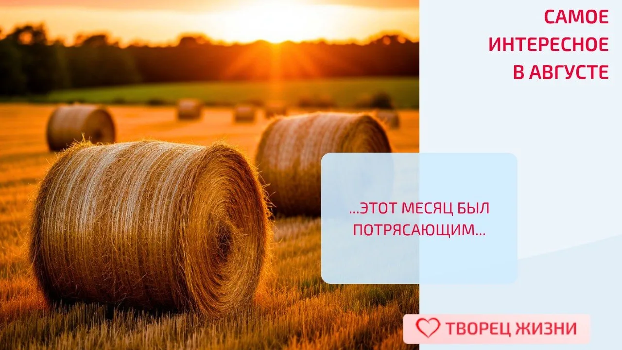 Дорогие, август был ярким, незабываемым, как и все лето ☀ Это время для кого-то ознамен...