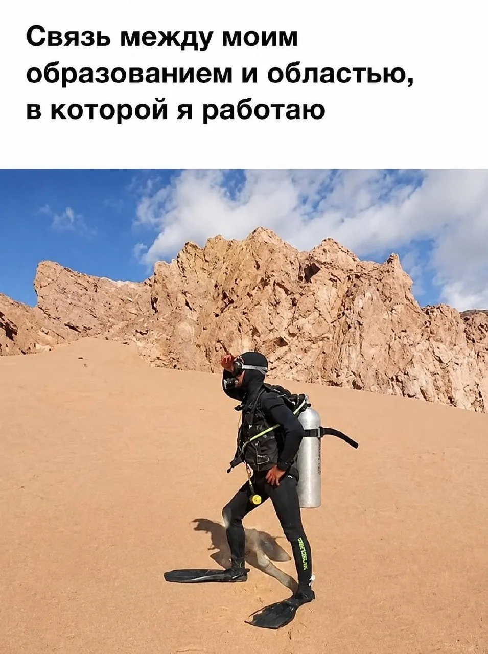 Мемы в MAX