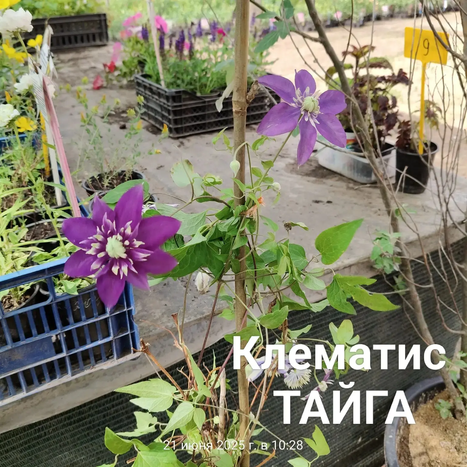 ПОСТУПЛЕНИЕ ,❤️‍🔥