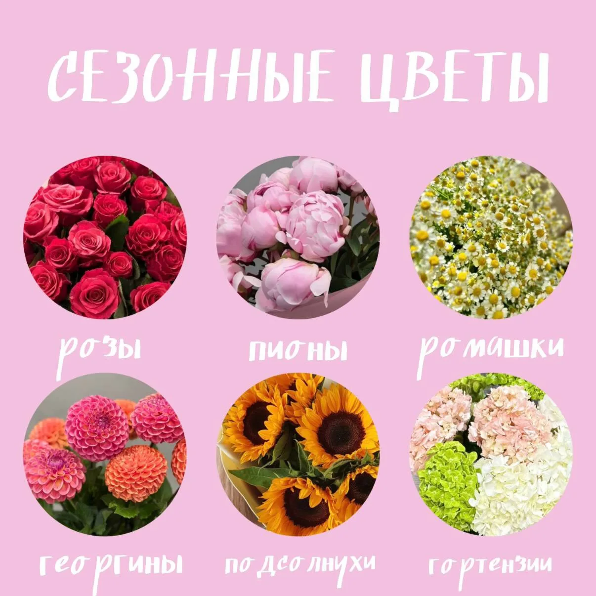 Поздравляем с первым днём лета 🩷

Пусть оно пройдёт тепло и беззаботно!

А мы расскажем вам о тех ц