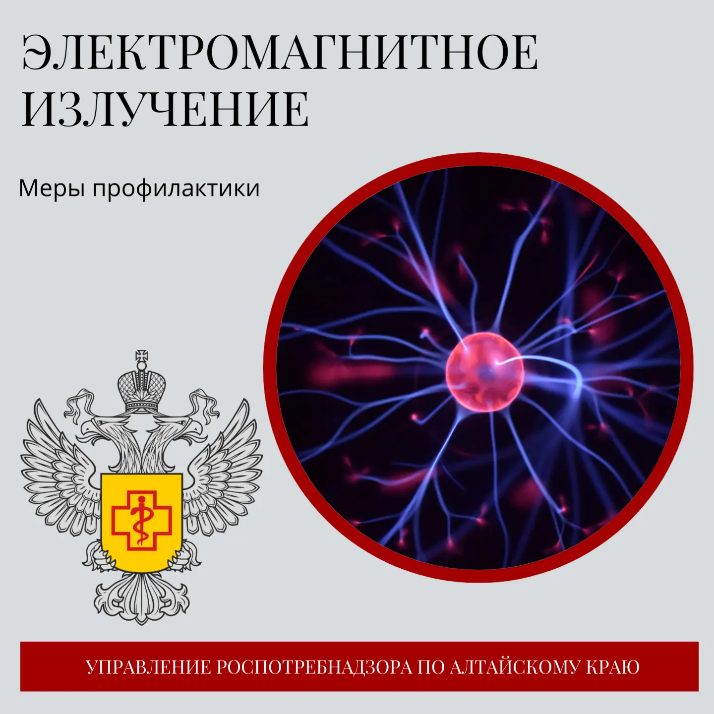⚡ ️Современная жилая среда пронизана электромагнитными полями.