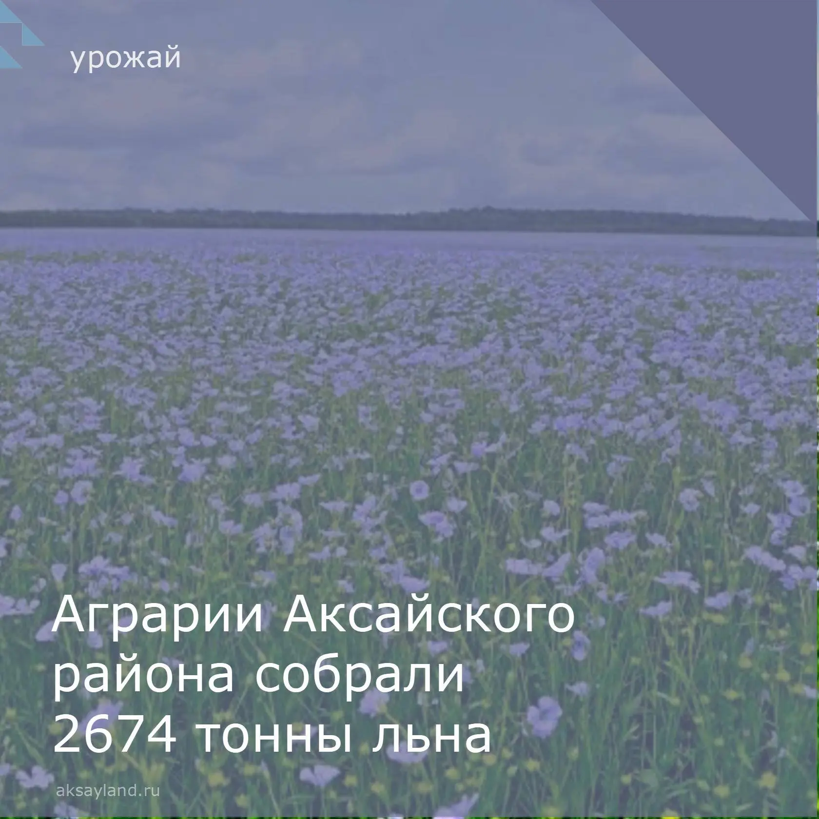 🚜Сельхозпредприятия и фермеры Аксайского района успешно завершили сбор урожая льна. Аг...