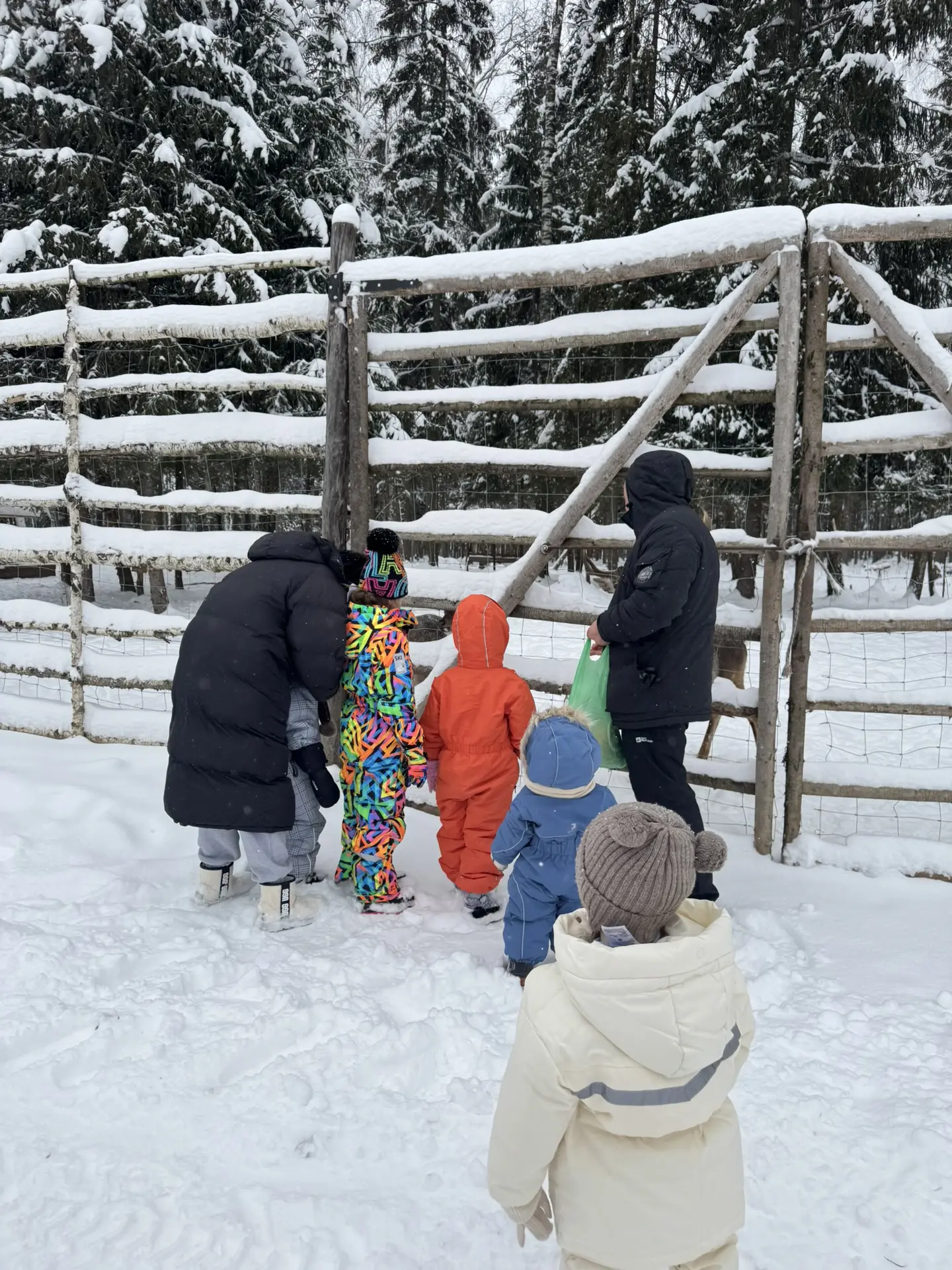 Наши райские выходные в волшебном Серпухове😍🌲🌨️