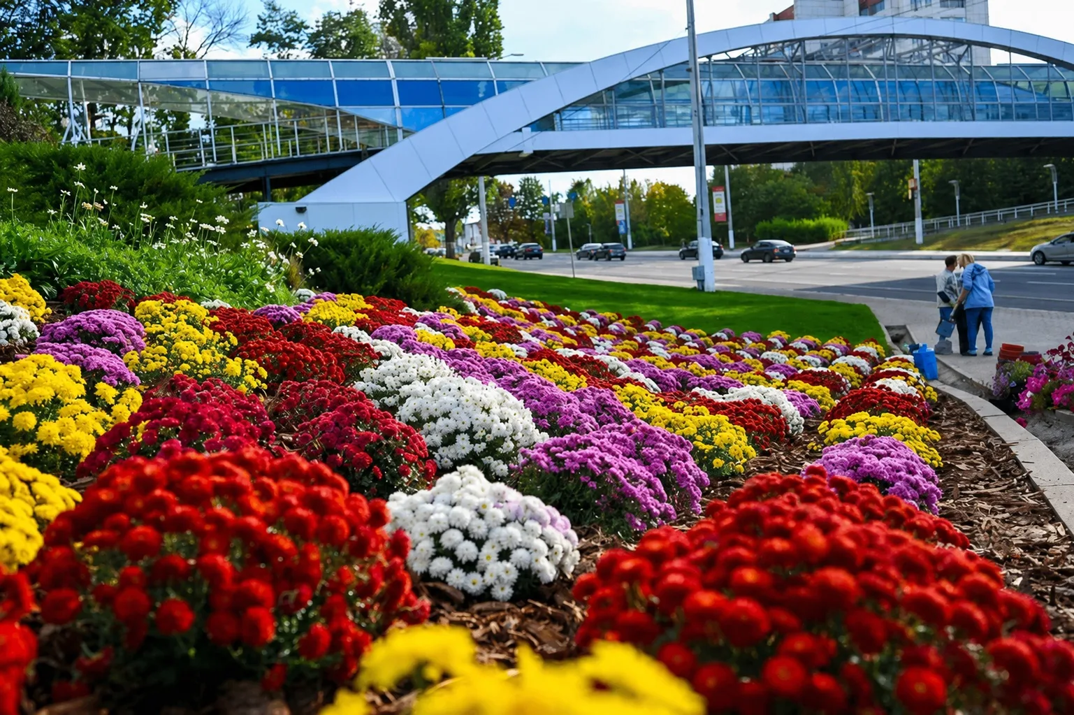 ☀️ Доброе утро, Белгород!