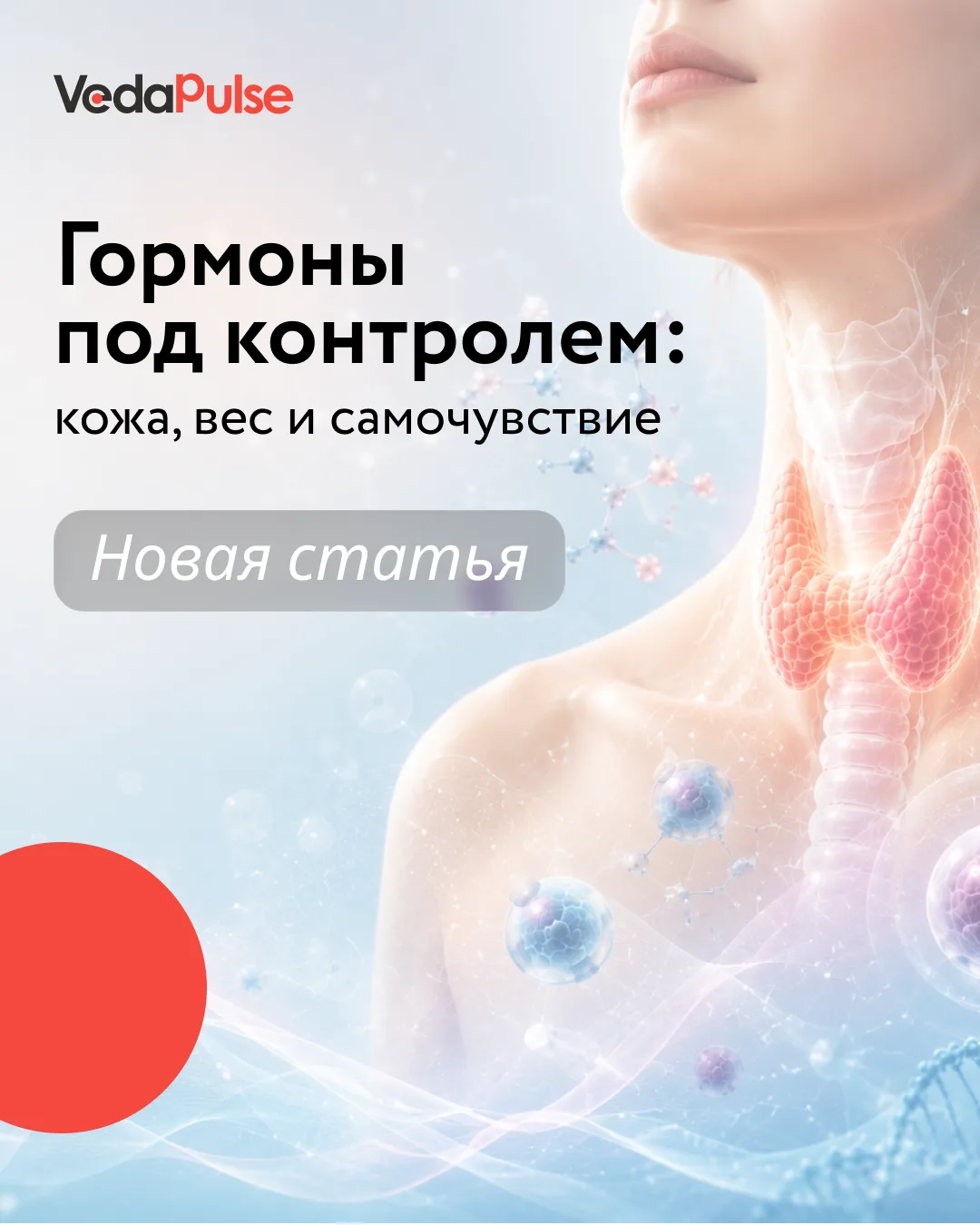 ⬆️ Именно она влияет на кожу, вес, уровень энергии и даже работу сердца 

И это щитовидная железа!

