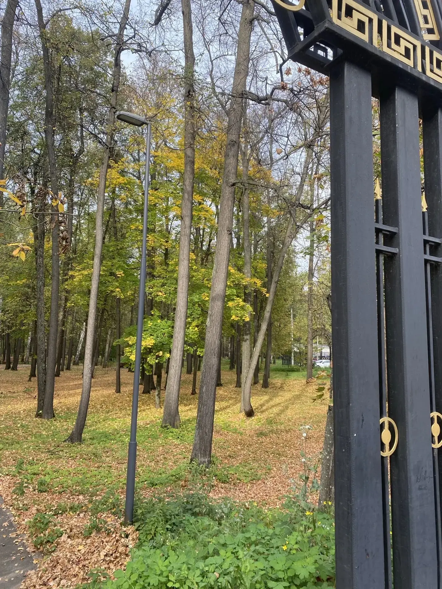 Доброе утро, Зеленодольск 🌻