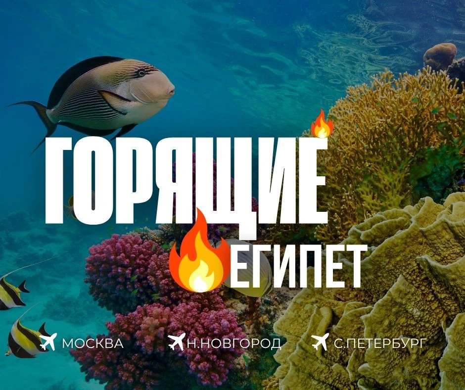 🇪🇬 ЕГИПЕТ, ТЫ ЧТО ТВОРИШЬ?! 

Кажется, кто-то решил устроить распродажу посреди лета 😅 

Мы как в