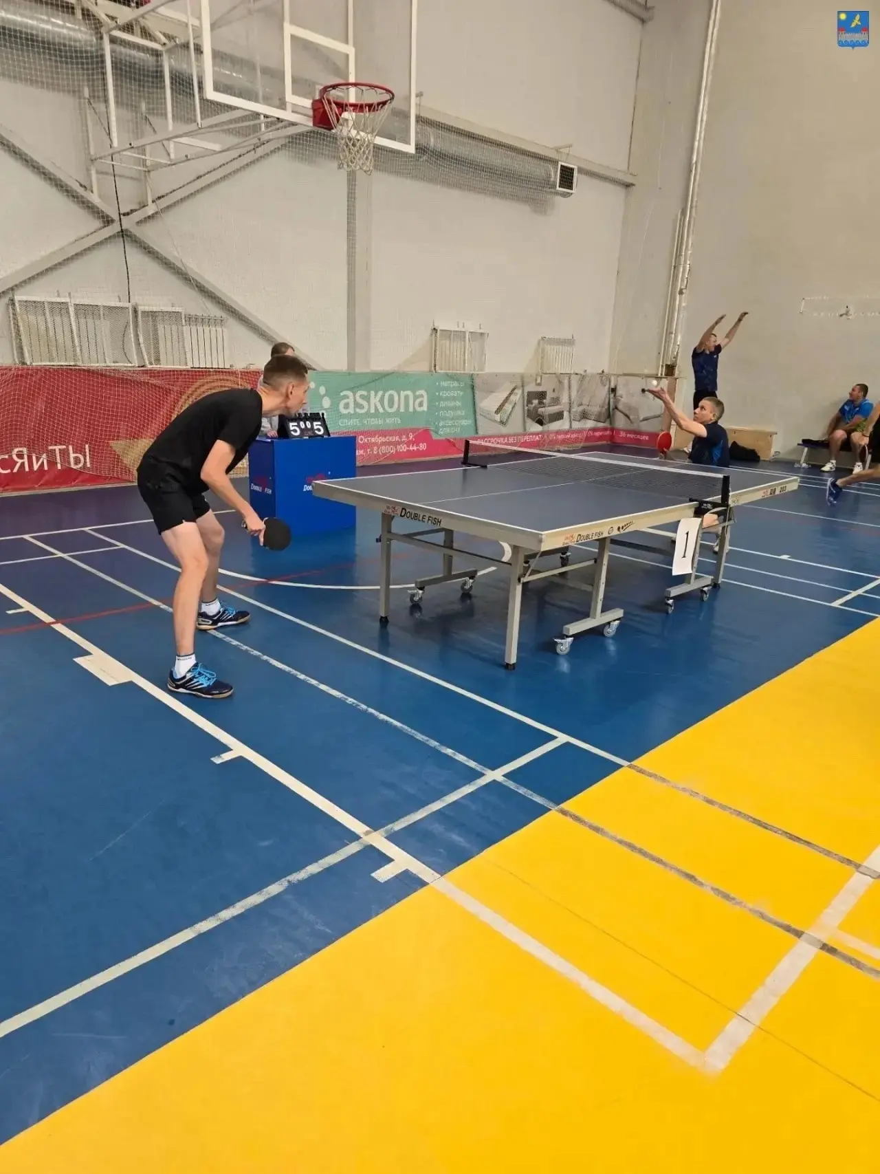 🏓 В Кингисеппе прошёл турнир по настольному теннису