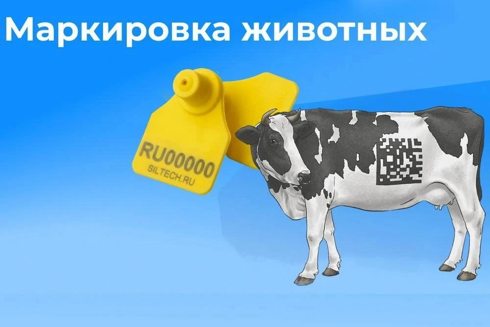 С 1 сентября 2026 года вступили в силу обязательные правила маркировки и учёта домашней...