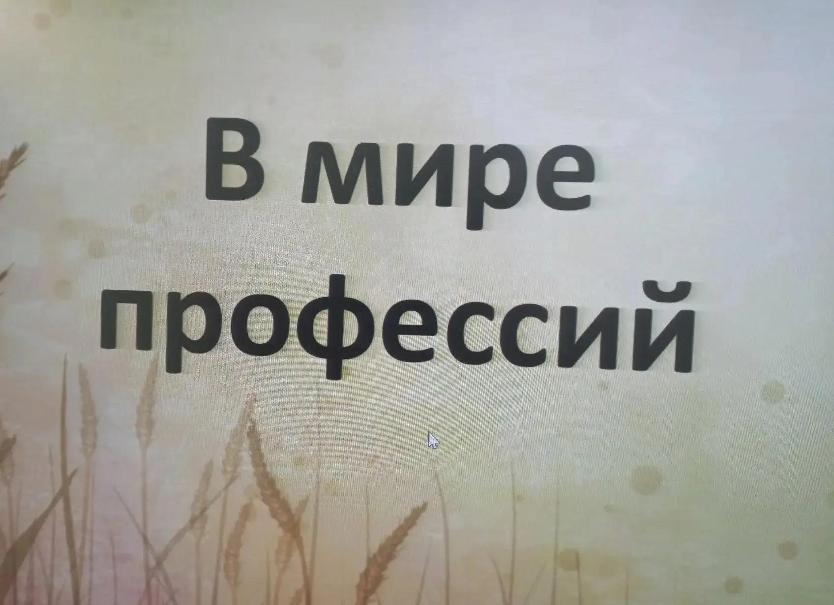 Воспитание уважительного и доброго отношения к труду и людям разных профессий, взаимосв...
