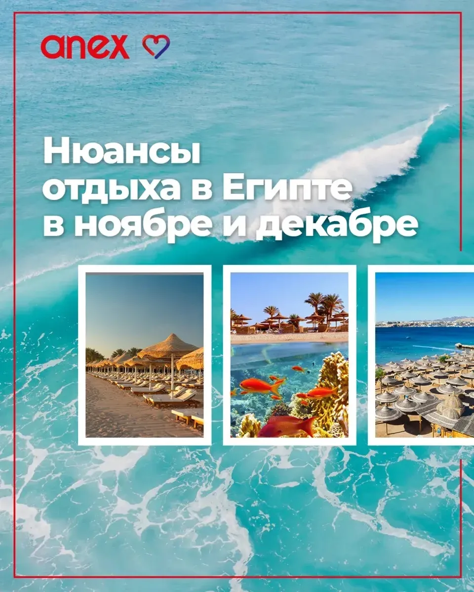 🇪🇬Стоит ли ехать в Египет в конце осени? Да, но...