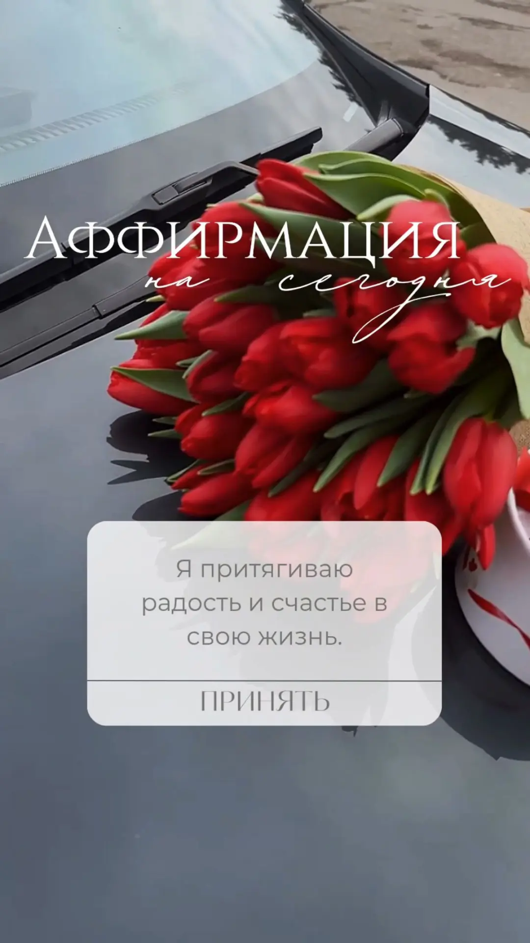 Аффирмация сегодняшнего дня ✨

Мой главный Гороскоп: подписаться ✨