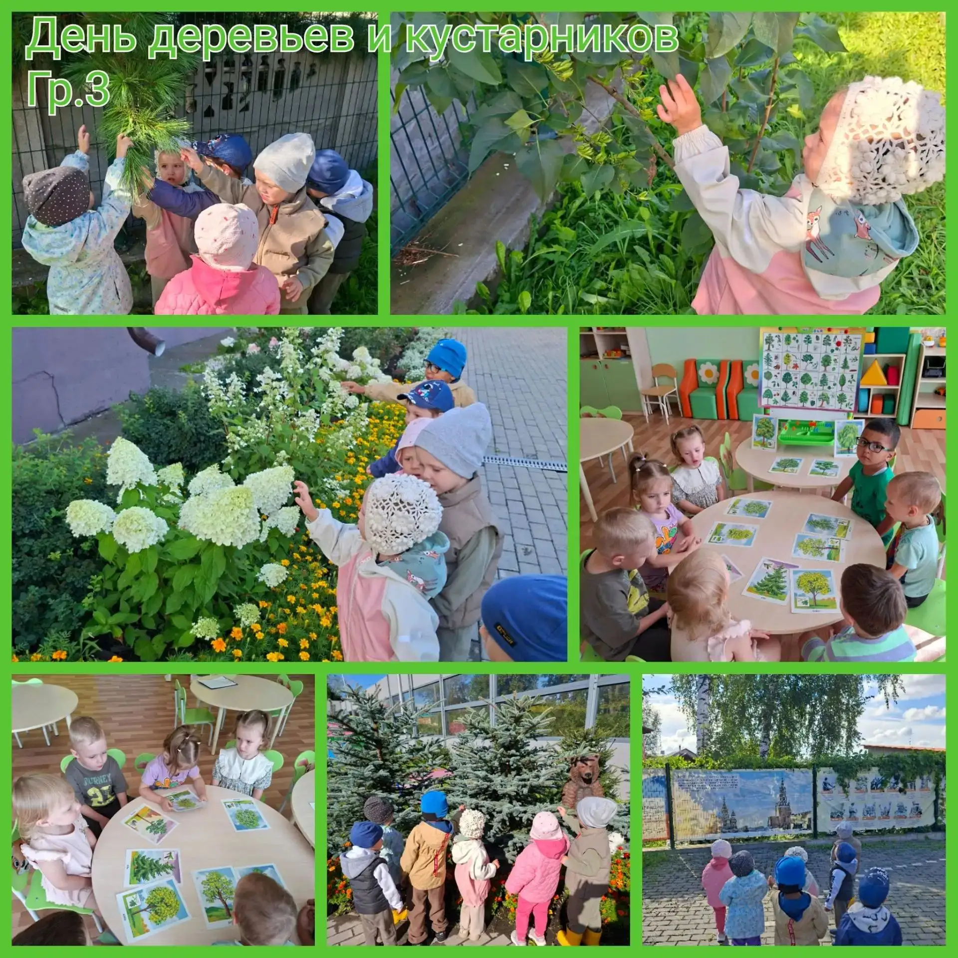 🌳День деревьев и кустарников🌲