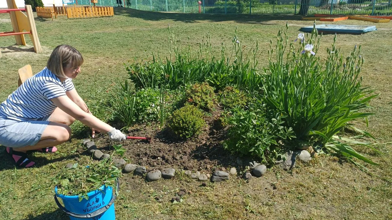 🌿 В Тамбове продолжаются дни ударного труда!

В детском саду кипит работа: приводим в порядок терри