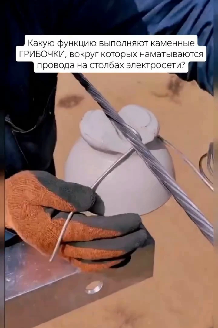 ⚙ На деревянных и бетонных столбах вдоль дорог эти белые или коричневые «грибки» стоят ...